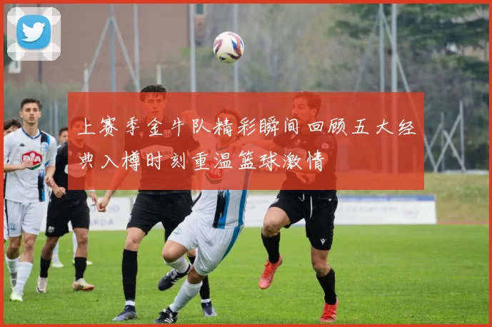 上赛季金牛队精彩瞬间回顾五大经典入樽时刻重温篮球激情