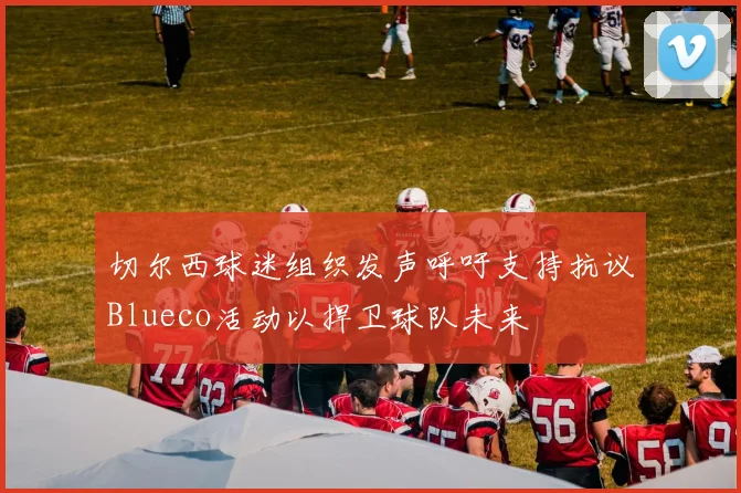 切尔西球迷组织发声呼吁支持抗议Blueco活动以捍卫球队未来